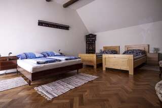 Отели типа «постель и завтрак» Casa Roth Сибиу Вилла с 3 спальнями-12