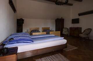 Отели типа «постель и завтрак» Casa Roth Сибиу Вилла с 3 спальнями-13