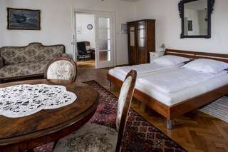 Отели типа «постель и завтрак» Casa Roth Сибиу Вилла с 3 спальнями-33